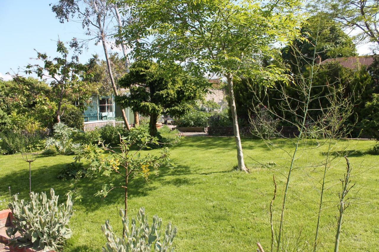 The School House Bed and Breakfast Bridgwater Exteriör bild