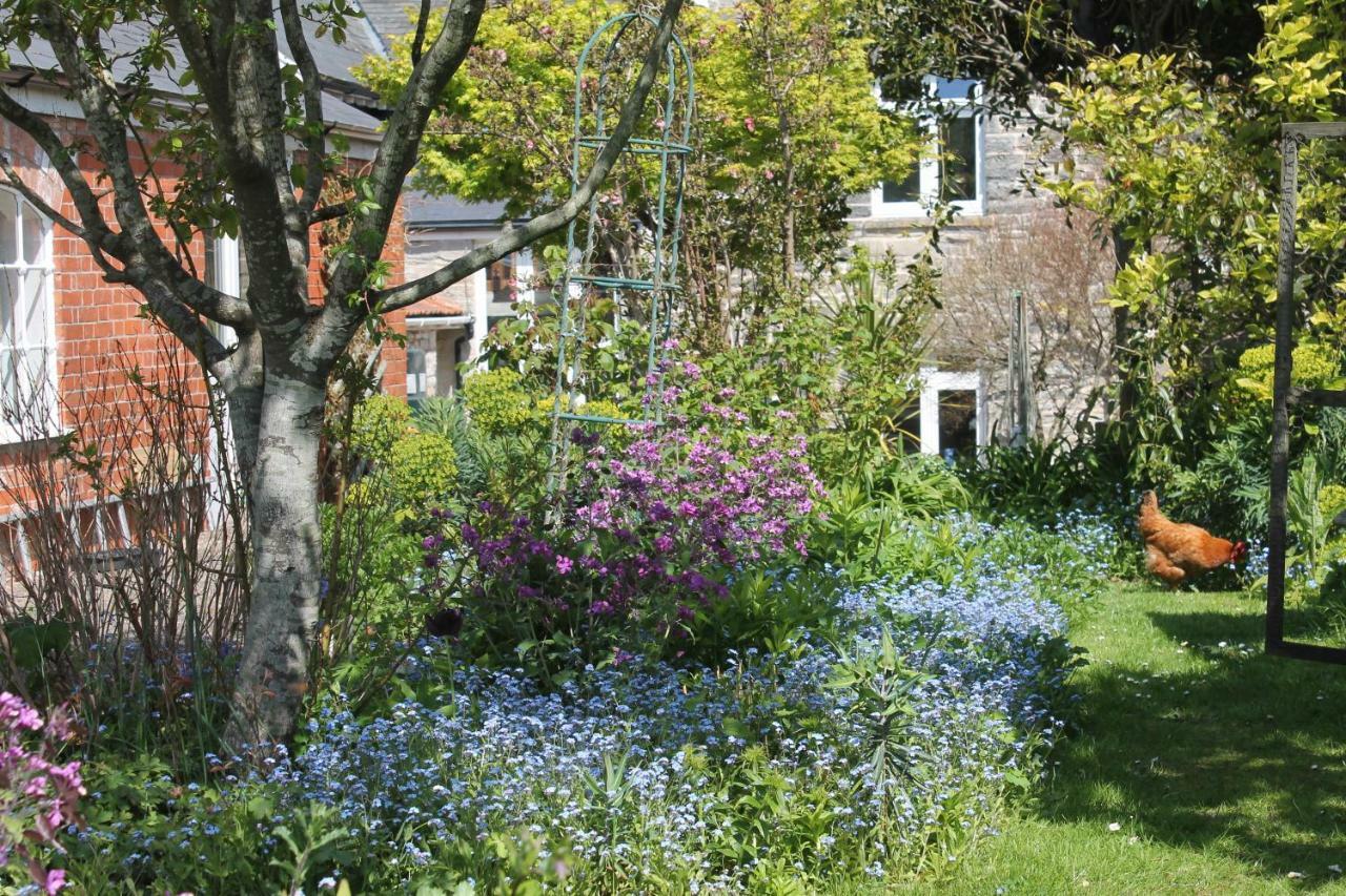 The School House Bed and Breakfast Bridgwater Exteriör bild